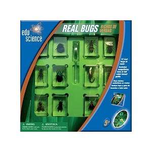  Edu Science 12 piece Insect Collection: Toys & Games