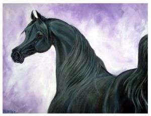 BLACK ARABIAN HORSE EQUINE ART BRANDER HUGE 20x30 PRINT  