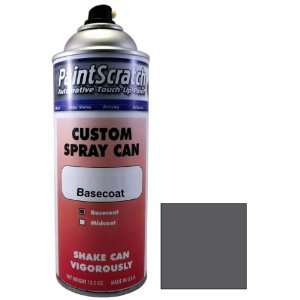  12.5 Oz. Spray Can of Graphite (Interior) Touch Up Paint 