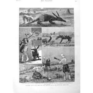  1884 WAR SOUTH AFRICA ARGYLL SUTHERLAND HIGHLANDERS
