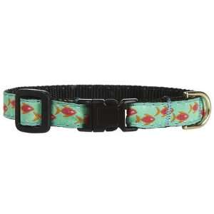   Tropical Fish Cat Collar   Size 12 (Quantity of 4) Health & Personal