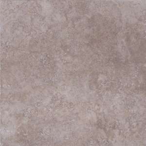  Trenton 12 Porcelain Tile in Color 00700