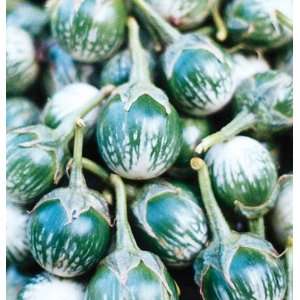   Hybrid Thai Eggplant Kermit 25 Seeds per Packet Patio, Lawn & Garden