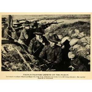  1918 Print Trench Warfare Carrier Pigeon War Animals 