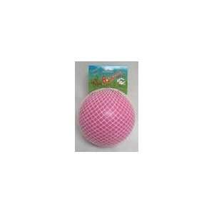  6 Inch Bounce N Play Ball   Pink   2506PK