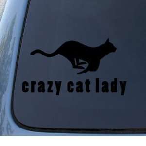  CRAZY CAT LADY   Kitty   Car, Truck, Notebook, Vinyl Decal 
