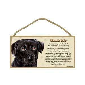  Black Labrador Retriever   Facts about your favorite Breed 