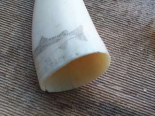 Vintage Faux Ox Bone Whale Tooth Scrimshaw Blue Fin Tuna  