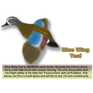  FLBW Blue Teal 3D Flappers Duck Decoy   4 Set Sports 
