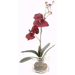  15 Burgundy Orchid Floral Arrangement