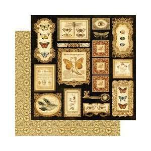  Olde Curiosity Shoppe Double Sided Paper 12X12 Parlor 