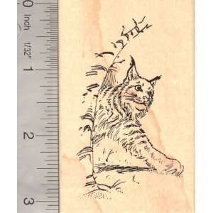  Lynx Wildcat Rubber Stamp Bobcat: Arts, Crafts & Sewing