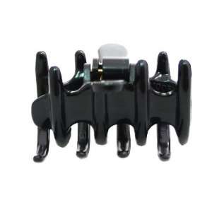   Claw With Spiked And Rounded Teeth In The Black Classic Color Beauty