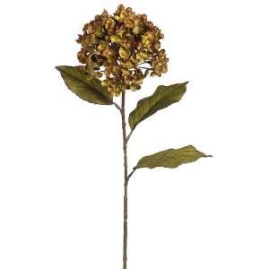   Hydrangea Spray Two Tone Camel (Pack of 6) Patio, Lawn & Garden