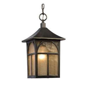 Galaxy Lighting 311384ORB Chain Hung Outdoor Pendant, Oil 