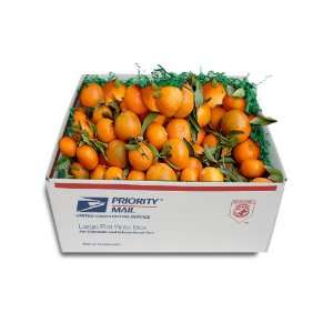 Price Leader USPS Box California Organic Algerian Tangerines