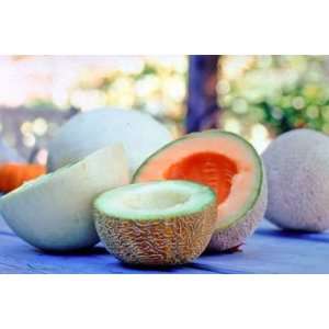  Renees Garden Three Flavor Melon Seed: Patio, Lawn 