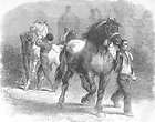 SOCIETY Horse Fair by Rosa Bonheur Sketch from, antique print, 1855