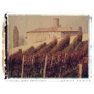  Italian Wine Landscape Poster Print