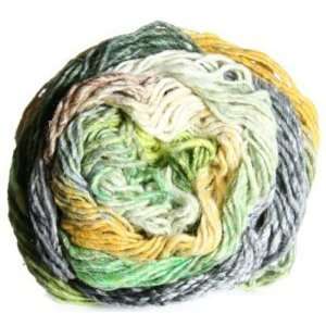  Noro Taiyo 08 Yarn: Home & Kitchen