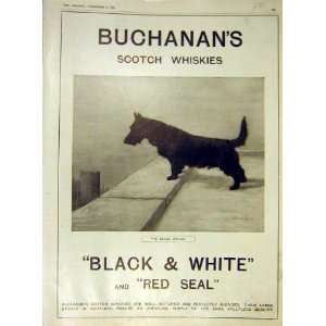  Black Watch BuchananS Scotch Whisky Red Seal 1915