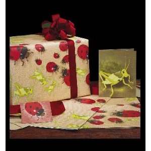  Buggin Out Gift Wrap Set: Health & Personal Care