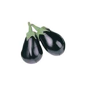  Eggplant Black Beauty (2,500 Seeds) Patio, Lawn & Garden
