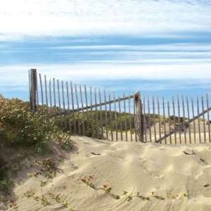  P 0079E Dune Fence South 12 x 12 Paper: Everything Else