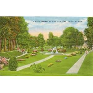  1940s Vintage Postcard Sunken Gardens at Glen Oak Park 