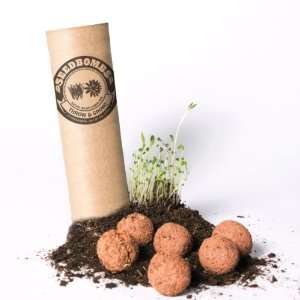  Seedbombs 6 Pack (Recycled Tube) Native Northwest Grass 