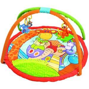  Playgro Noahs Ark Discovery Gym Baby