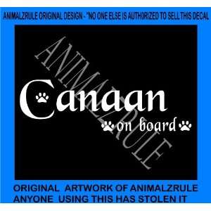  CANAAN VINYL DECAL: Everything Else