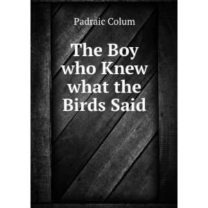  The Boy who Knew what the Birds Said: Padraic Colum: Books