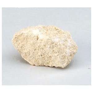 SciEd Individual Rock Specimens Sedimentary; Limestone, oolitic 