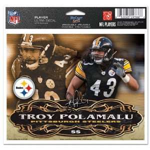  NFL Troy Polamalu Window Cling: Sports & Outdoors