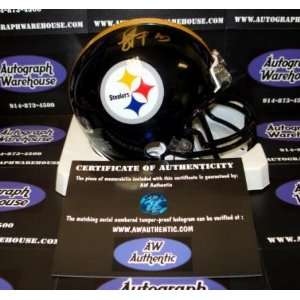  Troy Polamalu (Pittsburgh Steelers) Football Mini Helmet 