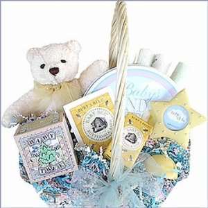  Beary Special Baby Gift Basket   (GenderGGirl) Baby