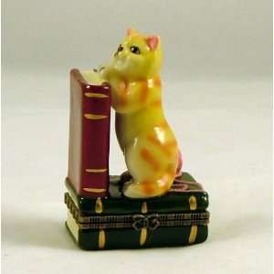  Cat Lover Kitten with Books Hinged Trinket Box phb: Home 