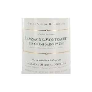 2009 Domaine Michel Niellon Chassagne Montrachet Les Champgains 750ml