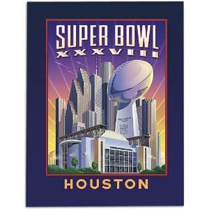   NFL Extras NFL Super Bowl XXXVIII Official Program