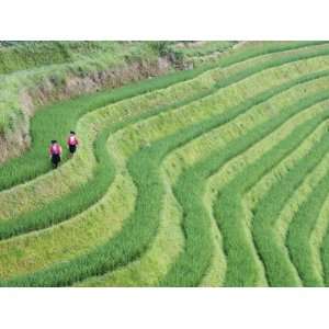  Yao Women at the Dragons Backbone Rice Terraces, Longsheng 