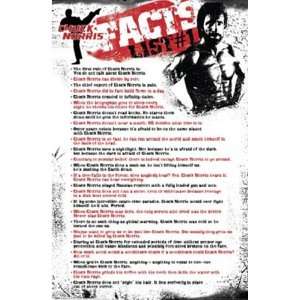 Chuck Norris   Facts List#1 by Unknown 22x34 