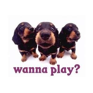 Wanna Play? Puppy College Dorm Poster