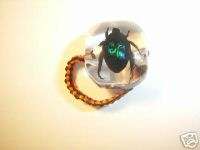 Insect Ring   Blue Cockchafer Beetle (in clear Lucite)  