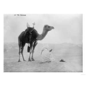 Man with Camel in the Sahara Desert Photograph   Sahara Desert, Africa 