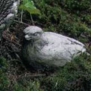  Campania Cast Stone Animal   Mini Bird   Natural: Patio 