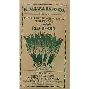  Onion Japanese Red Beard Seeds 3 Grams Patio, Lawn 