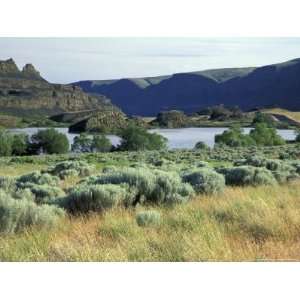 Alkali Lake in the Lower Grand Coulee, Coulee City, Washington, USA 