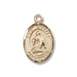  14K Gold St. Charles Borromeo Medal Jewelry