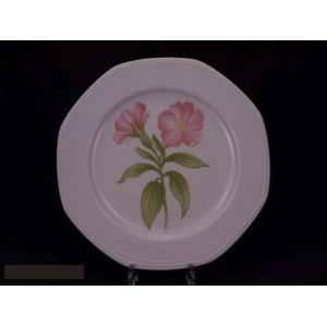 Schonwald Pink Floral Large Dinner Plates:  Kitchen 